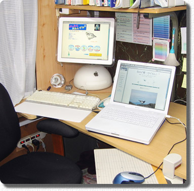 IiMac Flat Panel