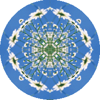 フォトショップ